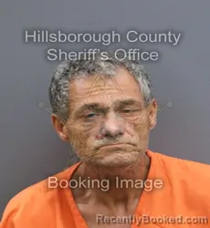 Mugshot of EVERETT WILSON JR JOHNSON booked in Hillsborough County, Florida on April 9, 2026