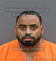 Mugshot of LINO JR DIAZ booked in Hillsborough County, Florida on April 9, 2026