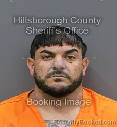 Mugshot of IROEL MEDEROS booked in Hillsborough County, Florida on April 9, 2026