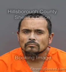 Mugshot of MICHAEL ALAN COLES booked in Hillsborough County, Florida on April 10, 2026