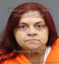 Mugshot of SONJA JEAN LOWERY booked in Hillsborough County, Florida on April 10, 2026