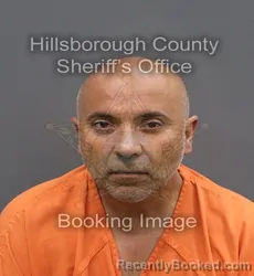Mugshot of SANDEEP S SETHI booked in Hillsborough County, Florida on April 10, 2026