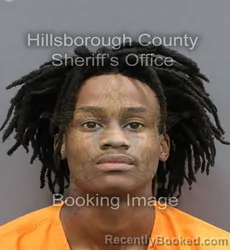 Mugshot of MARIO JOSHUA JR HOOD booked in Hillsborough County, Florida on April 10, 2026