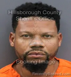 Mugshot of ARTHUR LEROY SCOTT booked in Hillsborough County, Florida on April 10, 2026