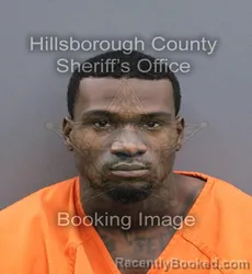 Mugshot of RIYEN TOMAS VIVERETTE booked in Hillsborough County, Florida on April 10, 2026