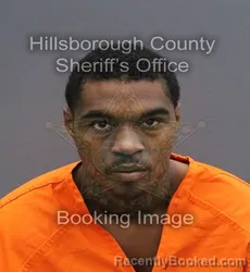 Mugshot of ALPHONSO RECHE JR EMANUEL booked in Hillsborough County, Florida on April 10, 2026
