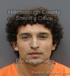 Mugshot of ALEXANDER JOHN GAMBA booked in Hillsborough County, Florida on April 10, 2026