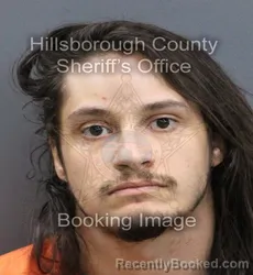 Mugshot of FABIAN LUIS ROSARIO booked in Hillsborough County, Florida on April 10, 2026