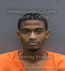 Mugshot of ZAYNE ANTHONY BENEDICT MCINTOSH booked in Hillsborough County, Florida on April 10, 2026