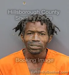 Mugshot of JAMES DEMARCIO REVEAR booked in Hillsborough County, Florida on April 10, 2026