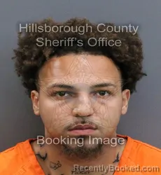 Mugshot of CAMERON DOUGLASS VALLEY booked in Hillsborough County, Florida on April 10, 2026
