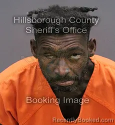 Mugshot of JASON ALAN POWELL booked in Hillsborough County, Florida on April 10, 2026