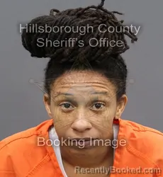 Mugshot of MARIAH KAELA PELTIER booked in Hillsborough County, Florida on April 10, 2026