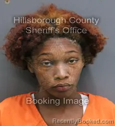 Mugshot of JZ'NIYAH ALLENCIA CARTER booked in Hillsborough County, Florida on April 10, 2026