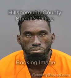 Mugshot of ERIK DAVID FENELON booked in Hillsborough County, Florida on April 10, 2026