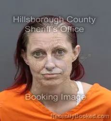 Mugshot of RUTH ELIZABETH KEENE booked in Hillsborough County, Florida on April 10, 2026