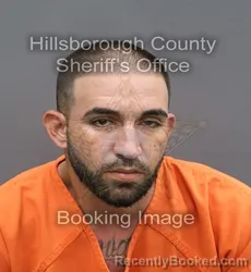 Mugshot of ALEJANDRO OSCAR GAMEZ booked in Hillsborough County, Florida on April 10, 2026