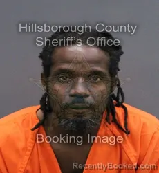 Mugshot of WILKY PETIT FRERE booked in Hillsborough County, Florida on April 10, 2026