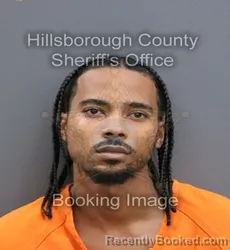 Mugshot of JAMES ARTHUR GRAVES JR GRAHAM booked in Hillsborough County, Florida on April 10, 2026