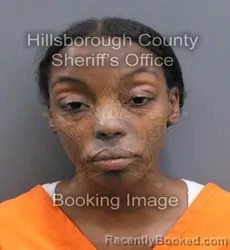 Mugshot of BREYANA CLARISSA WIGGINS booked in Hillsborough County, Florida on April 10, 2026