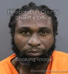 Mugshot of ARTNELL DAVE TUCKER booked in Hillsborough County, Florida on April 10, 2026