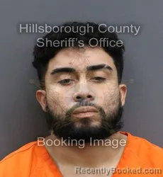 Mugshot of LUIS A CRUZ booked in Hillsborough County, Florida on April 10, 2026