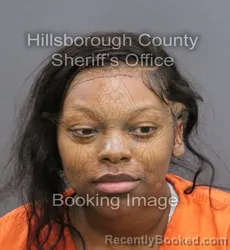 Mugshot of ARMAINA SIMONE BOSTICK booked in Hillsborough County, Florida on April 10, 2026
