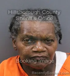 Mugshot of DENISE CAROL HOLMES booked in Hillsborough County, Florida on April 10, 2026