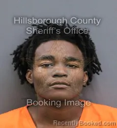 Mugshot of LEVITICUS E POWELL booked in Hillsborough County, Florida on April 10, 2026