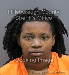Mugshot of ALMIYAH GLORIDA THOMPSON booked in Hillsborough County, Florida on April 10, 2026