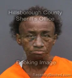 Mugshot of MARY MARIE JONES booked in Hillsborough County, Florida on April 10, 2026