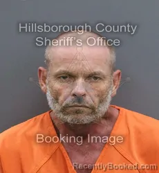 Mugshot of RONNIE MAXWELL TICE booked in Hillsborough County, Florida on April 10, 2026