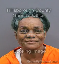 Mugshot of MARIA LOUISA JACKSON booked in Hillsborough County, Florida on April 10, 2026