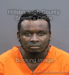 Mugshot of DORCE HERVELY booked in Hillsborough County, Florida on April 10, 2026