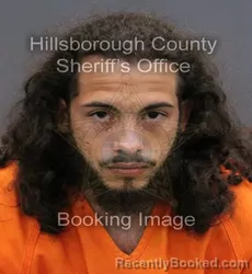 Mugshot of JUSTIN MATTHEW FELICIANO WARREN booked in Hillsborough County, Florida on April 10, 2026