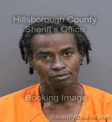 Mugshot of SHIMICA LASHAWN HAMMOND booked in Hillsborough County, Florida on April 10, 2026