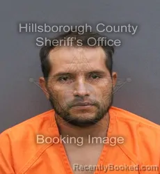 Mugshot of ELVIN ADONAY PAVON BRIZUELA booked in Hillsborough County, Florida on April 10, 2026