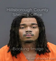 Mugshot of JOVANI JOAQUIN ROBINSON booked in Hillsborough County, Florida on April 10, 2026
