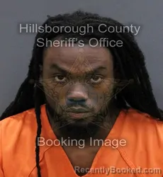 Mugshot of CAI'RE JAYLEN ANDERSON booked in Hillsborough County, Florida on April 10, 2026