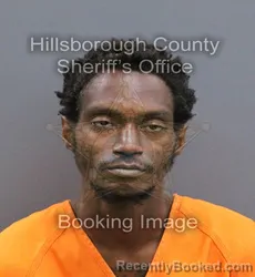 Mugshot of LAZARO GABRIEL HERNANDEZ booked in Hillsborough County, Florida on April 11, 2026
