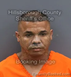 Mugshot of IVAMNIET BENITEZ IBANEZ booked in Hillsborough County, Florida on April 11, 2026