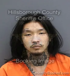 Mugshot of LUCAS KON PORTOGHESE booked in Hillsborough County, Florida on April 11, 2026