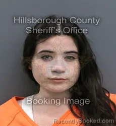 Mugshot of HANNAH GRACE ESTES booked in Hillsborough County, Florida on April 11, 2026