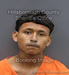 Mugshot of ELMER ZEFERINO LUVIANO booked in Hillsborough County, Florida on April 11, 2026