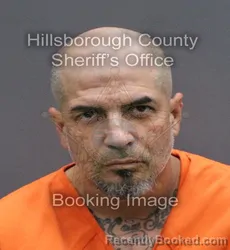 Mugshot of NELSON JR SANTIAGO booked in Hillsborough County, Florida on April 11, 2026
