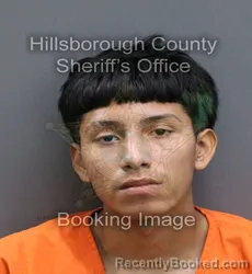 Mugshot of ULISES ROBLES-PEREZ booked in Hillsborough County, Florida on April 11, 2026