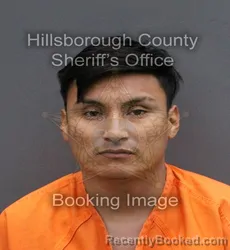 Mugshot of LUIS ANGEL CRUZ CASTILLO booked in Hillsborough County, Florida on April 11, 2026
