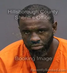 Mugshot of SYLVESTER JR SHEEGOG booked in Hillsborough County, Florida on April 11, 2026