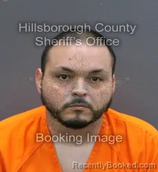 Mugshot of JOHNATHAN JOSE ROSARIO booked in Hillsborough County, Florida on April 11, 2026