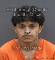 Mugshot of ENDRY ALEXANDER FERNANDEZ CASTILLO booked in Hillsborough County, Florida on April 11, 2026